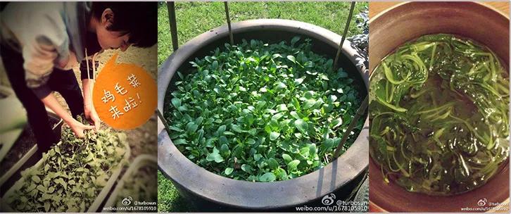 负债央视新闻,央视报道负债