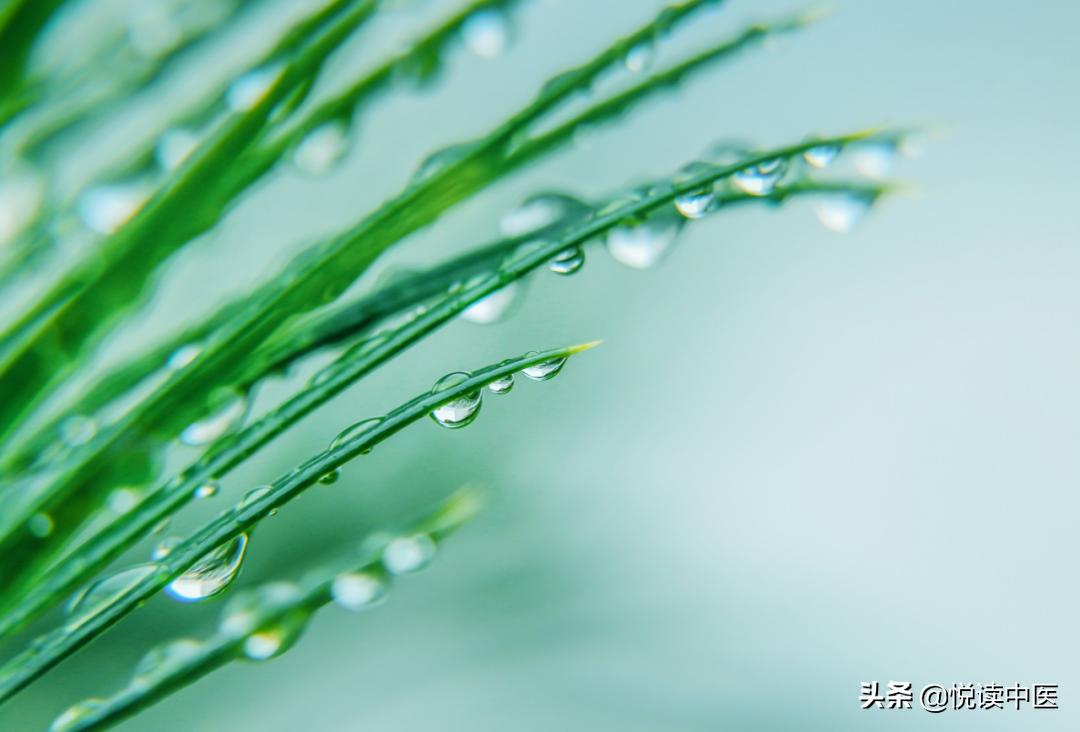 荨麻疹6级需要治疗吗,什么药是荨麻疹的克星