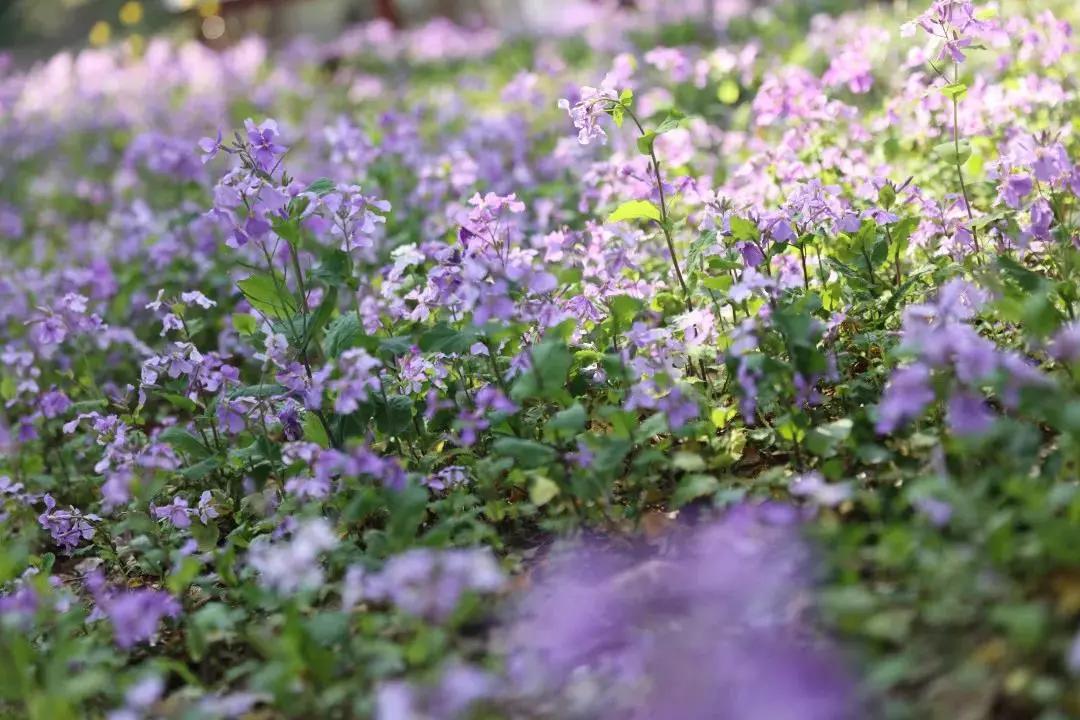 品味人生家居服,品味人生家具图片