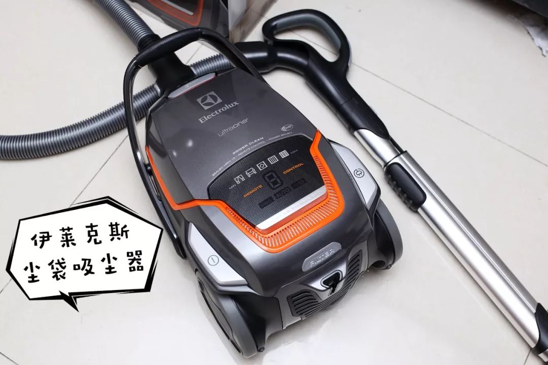 家狗身上痒有脱毛现象怎么办,狗到夏天脱毛特别严重