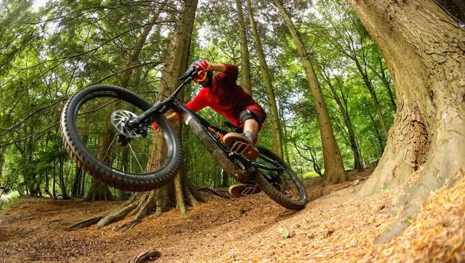 入门级的山地车哪款好,十款性价比高的入门级山地车