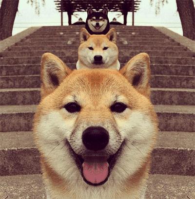 单身男人最好的忠告,聪明的男人要注意什么