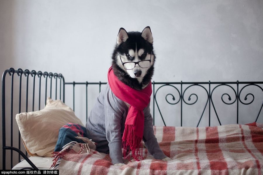 快乐无处不在忙里偷闲也要乐一乐,快乐心态快乐生活忙里偷闲乐一乐