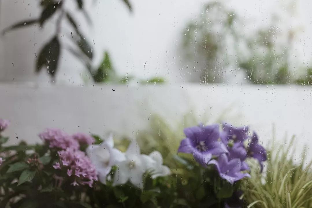 上海老旧学区房设计,上海带学区的老房子