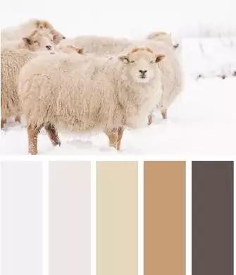 全羊毛面料西装,西装面料70%羊毛30%聚酯纤维