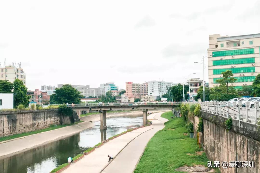 行走深圳歌曲,深圳观澜攻略