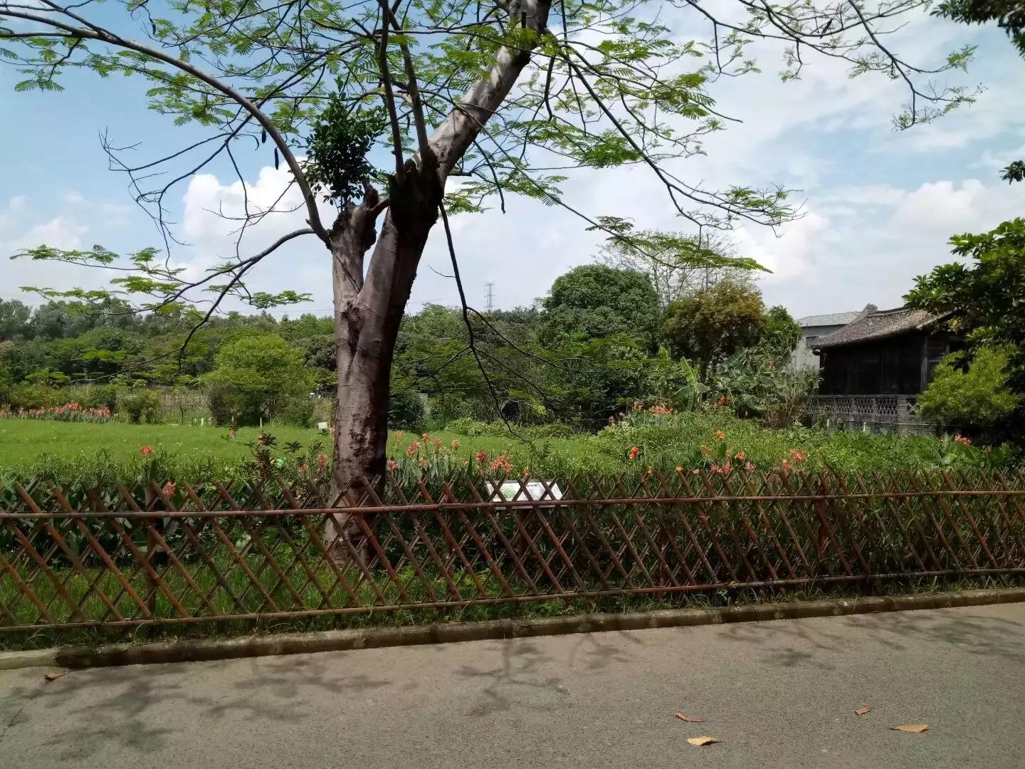 信用卡逾期被诉会强制执行吗,信用卡逾期被起诉强制执行会怎样