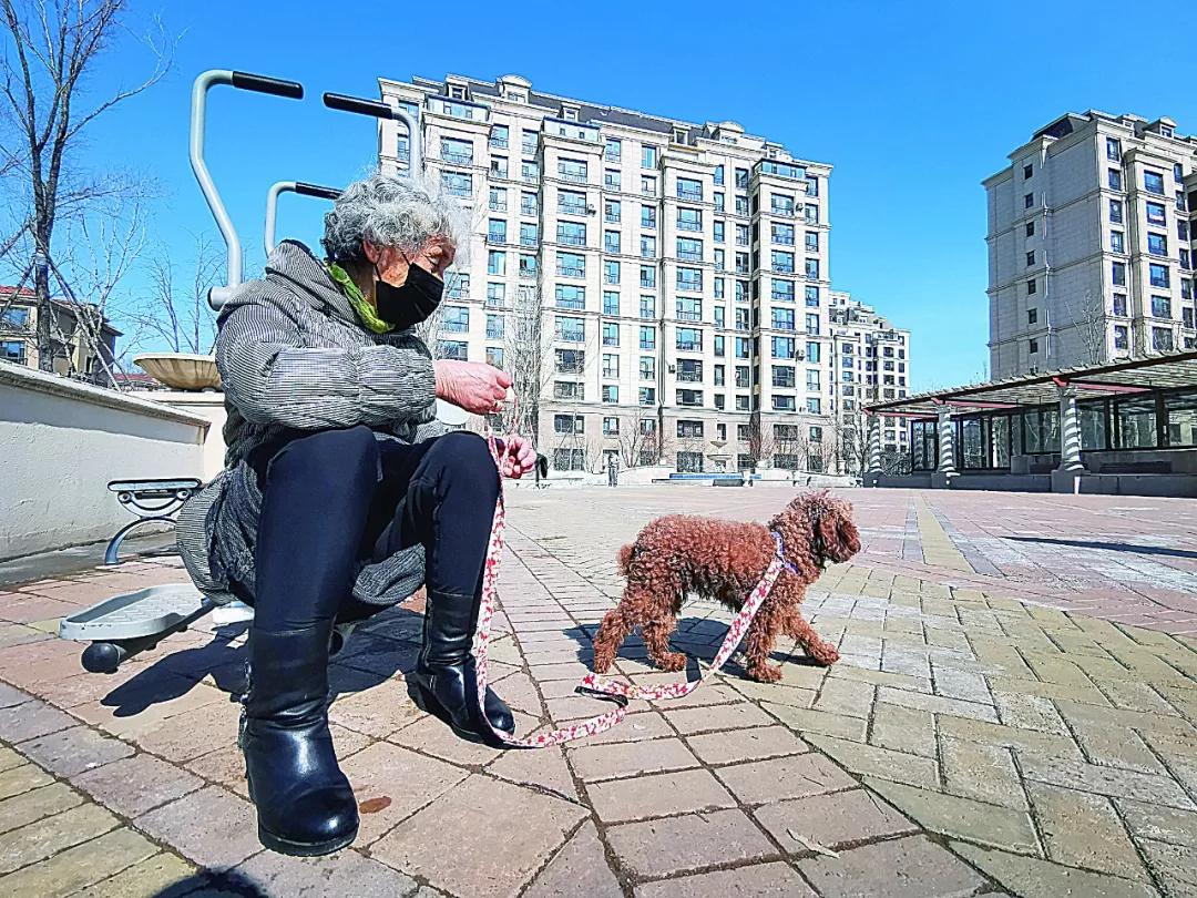 醒来!大庆正在有序恢复生产生活秩序【大庆读本·战疫】