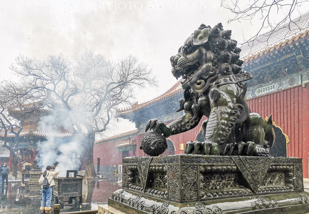 北京雍和宫烧香开放了吗,故宫下雪就成了紫禁城为什么