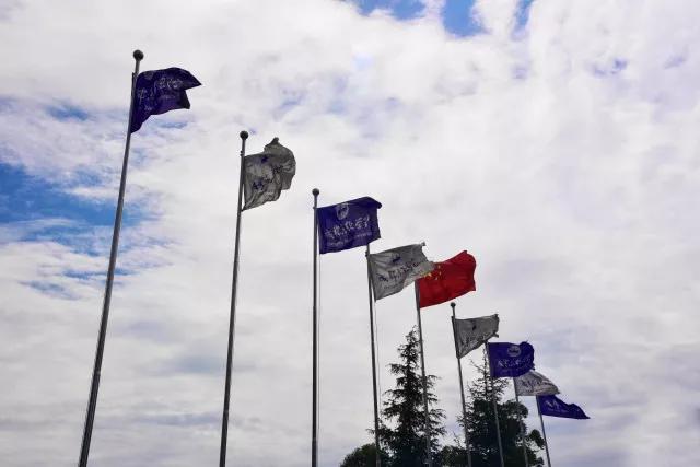 就业率超95和90,就业率95以上的学校