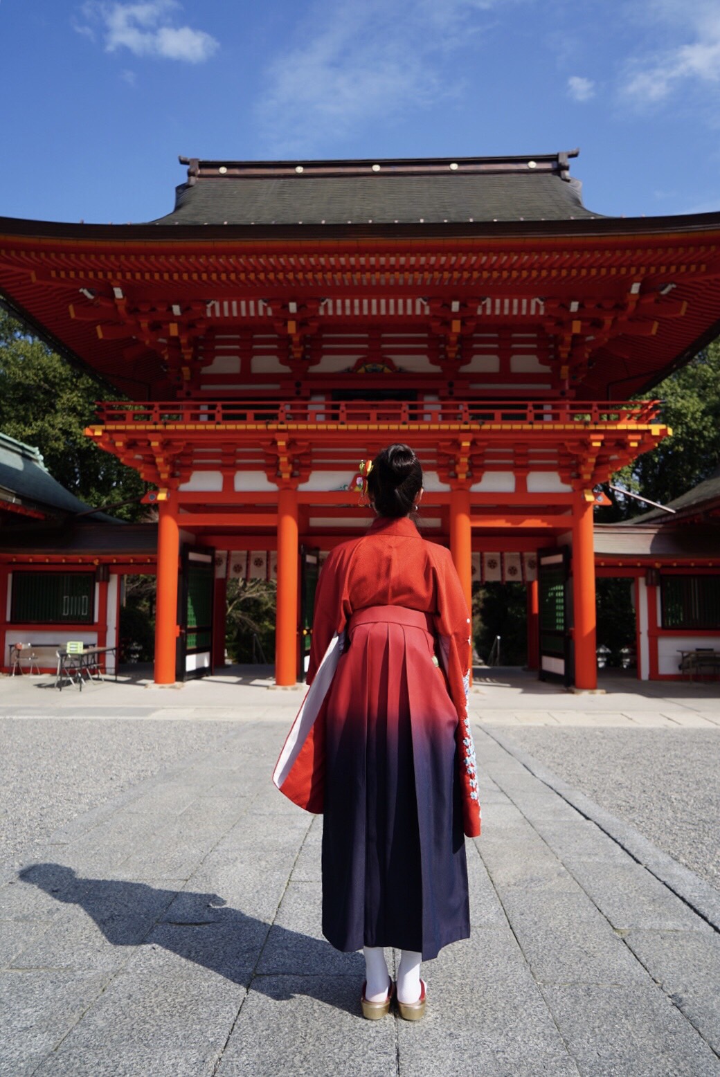 2019日本赏樱最新攻略|大津小众路线私家推荐