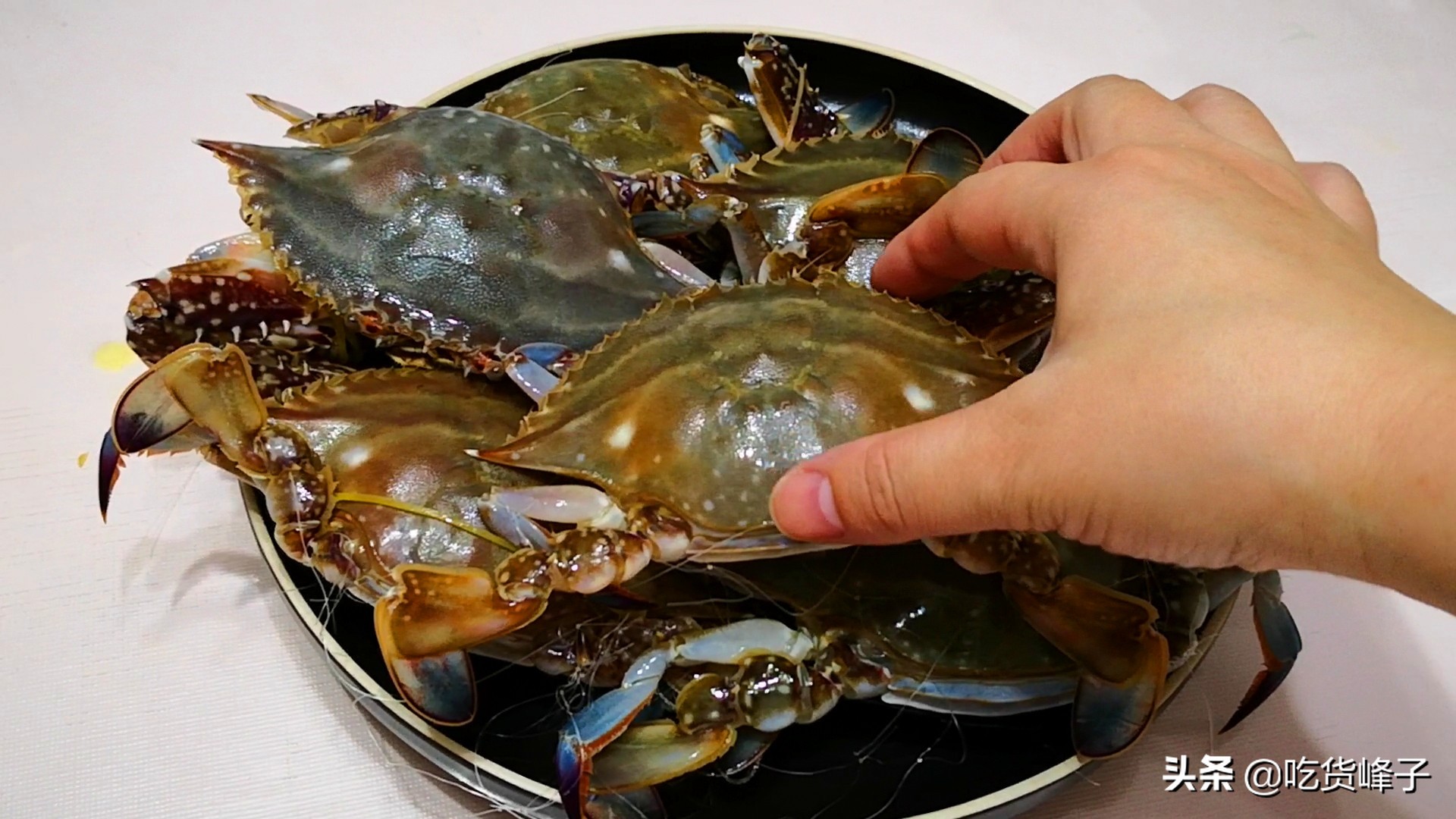 蒸螃蟹教你一招不掉腿不流蟹黄,蒸螃蟹的方法图解窍门