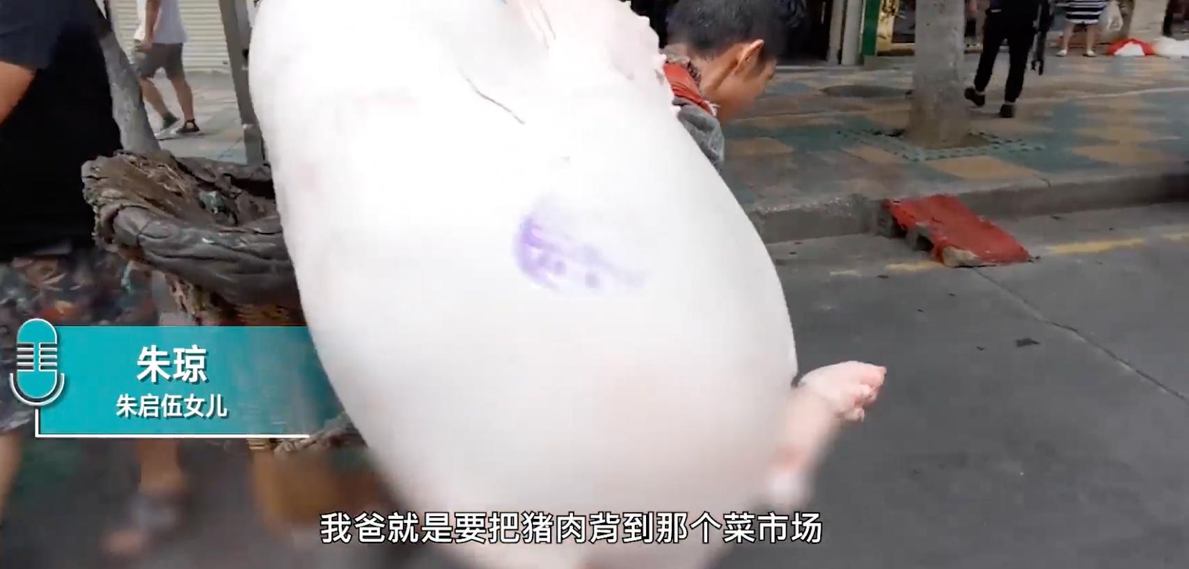 如何做父母才不会养个白眼狼,父母怎样培养白眼狼