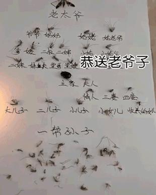 干掉蚊子的100种方法,消灭蚊子的100种方法第24种