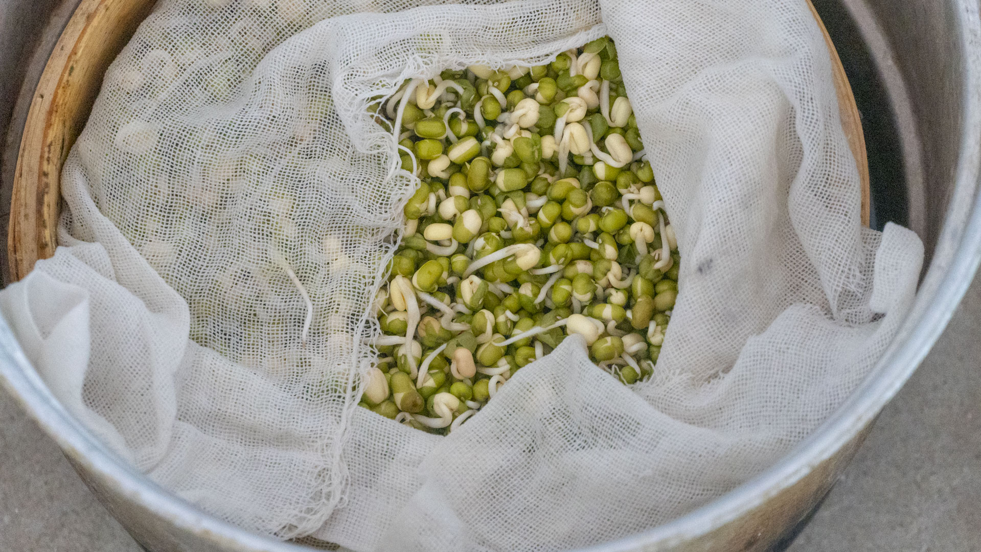 在家怎么发豆芽简单又好吃,自己在家怎么发豆芽最简单