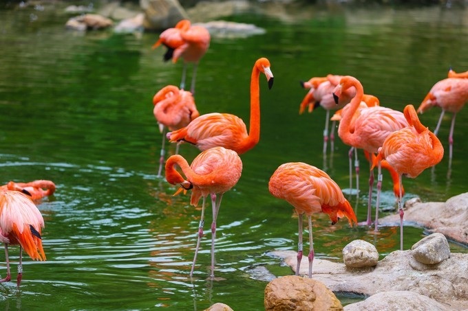 玩转珠海酒店,玩转珠海长隆全攻略