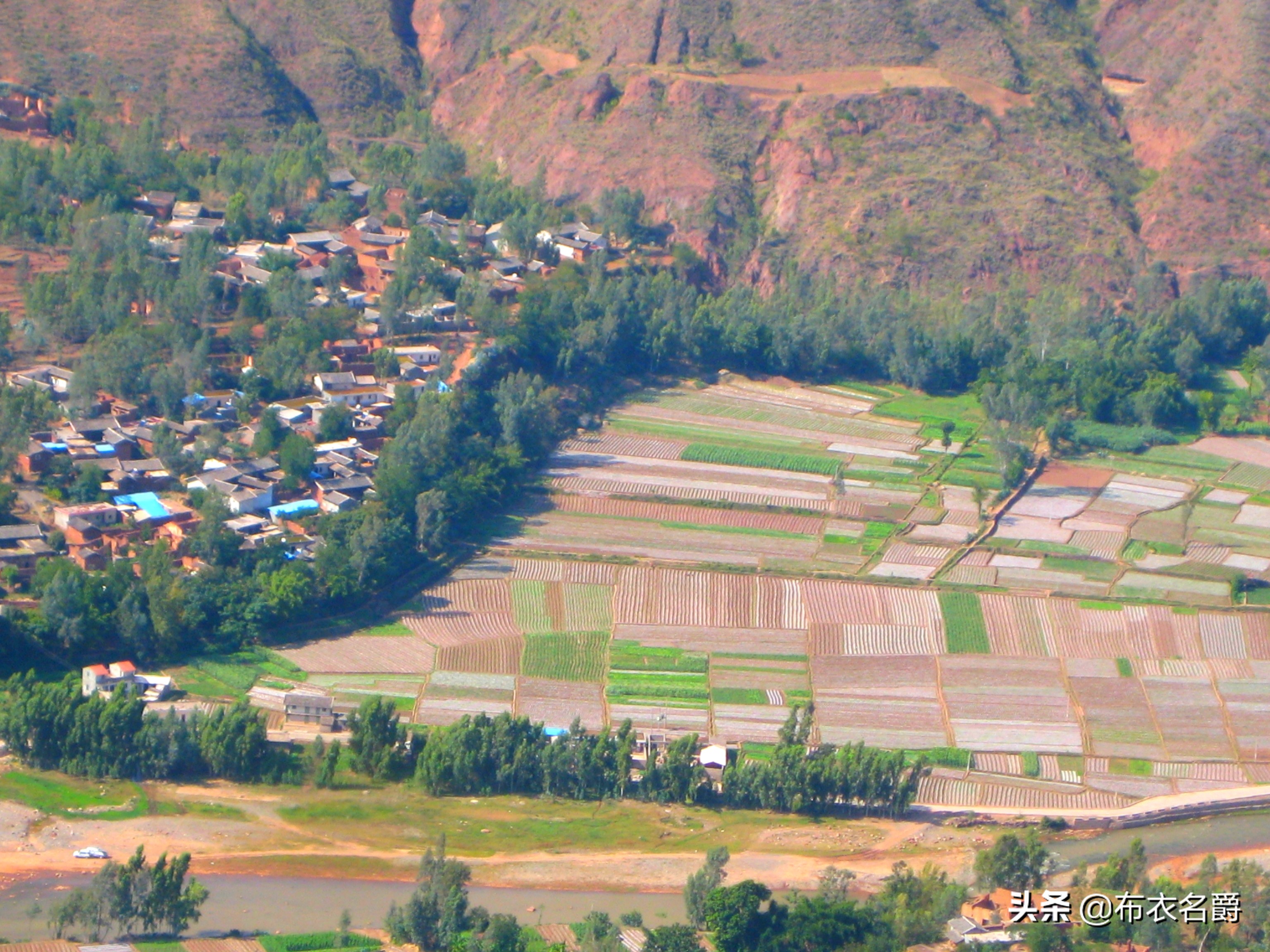 论治缺硒性仔猪水肿病