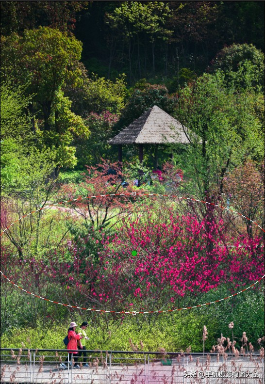 拍出好照片的简单摄影技巧,专业摄影技巧如何拍摄出精美照片