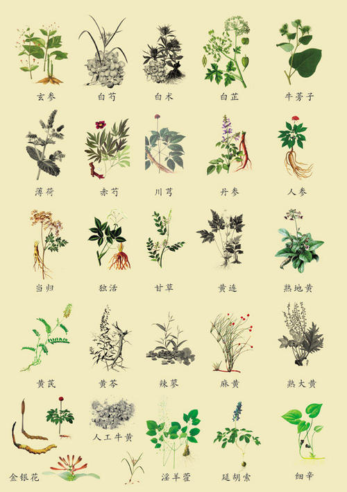 如果喜欢喝汤用什么熬比较省煤气,怎样才可以熬出特别鲜美的汤