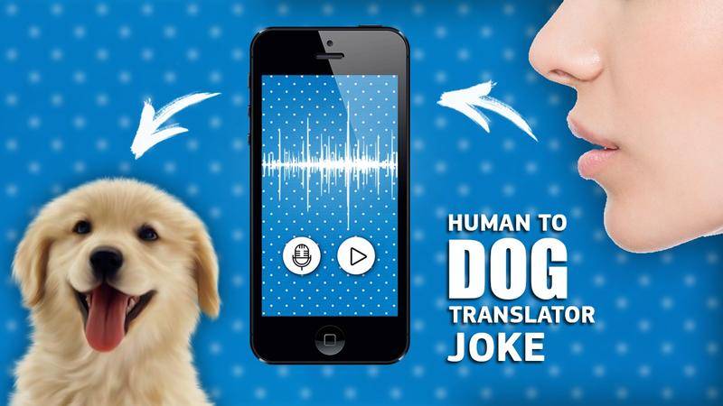 狗狗2021年,2021年的狗狗