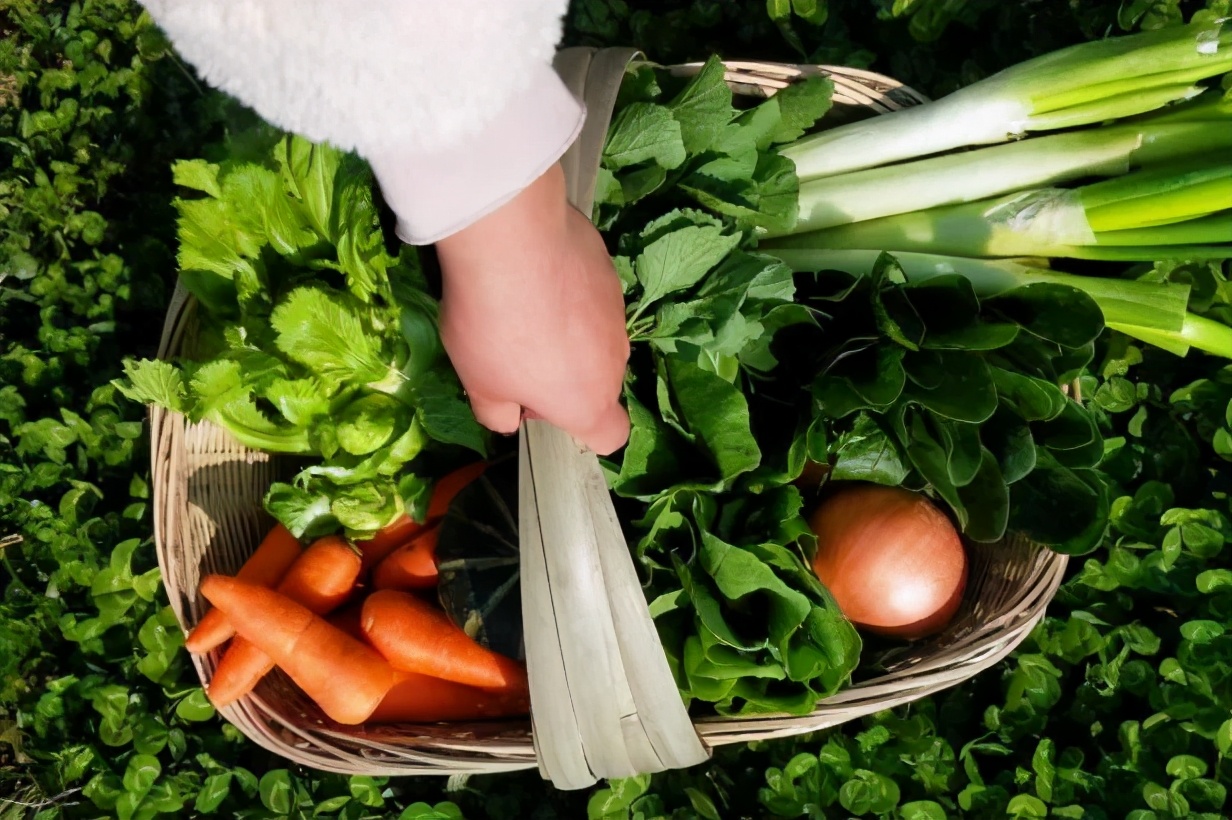 用低成本打造高颜值农场,广东夫妇超省钱