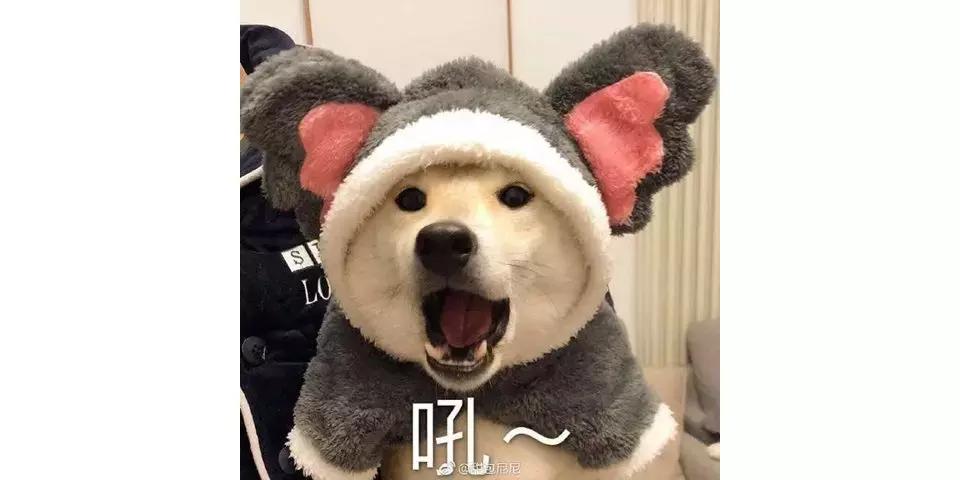 平价护肤品vs国货,哪种平价护肤品好用又便宜