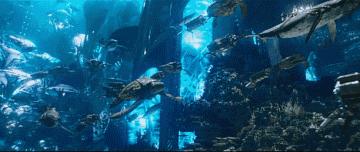 海王dc翻身,海王dc翻身之作