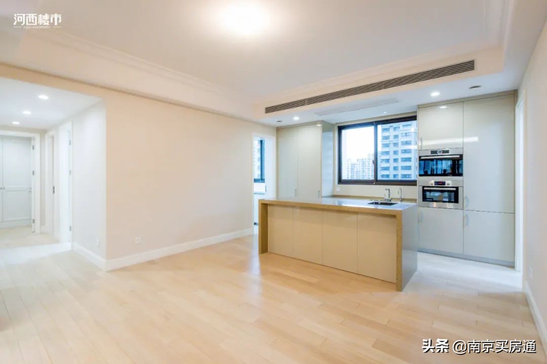 河西中新豪宅全景图,河西中心豪宅内部图片