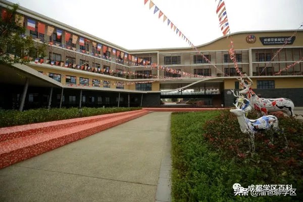 大源片区小学排名,高新区大源片区学校排名