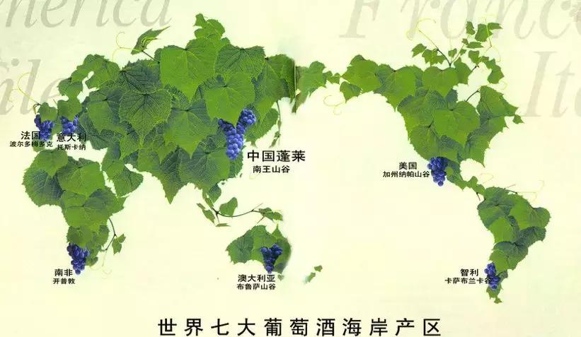 中粮长城海岸葡萄酒怎么样,长城海岸葡萄酒甜吗