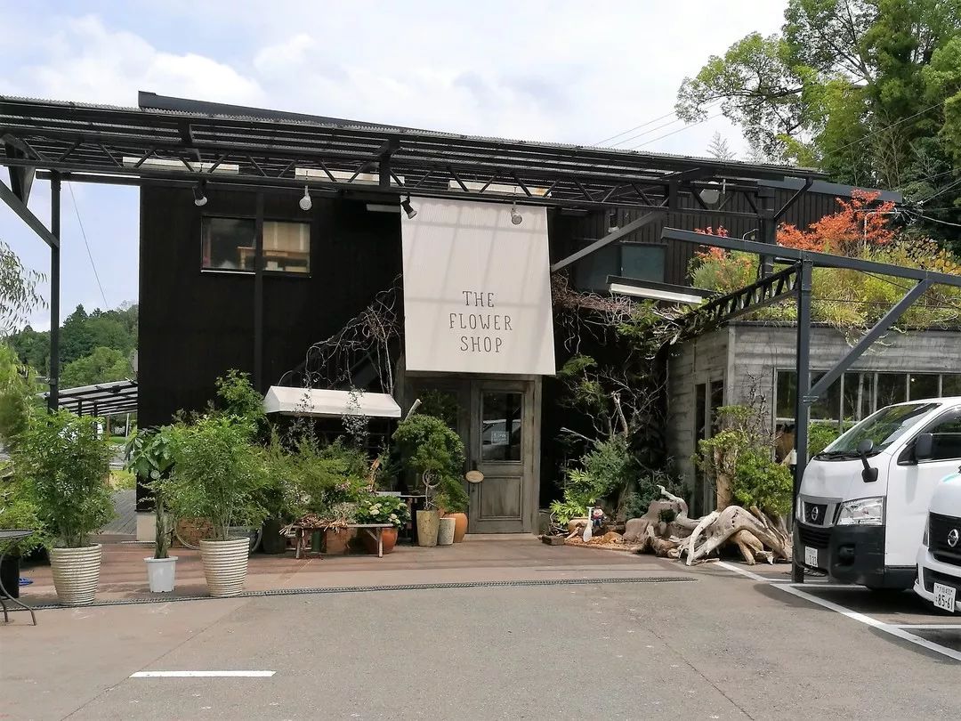 花店之旅,日本花店的真实感受