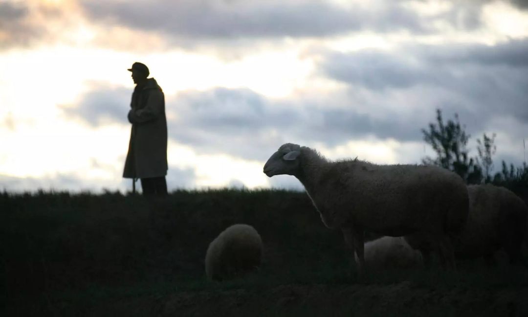 这些绝对让你感动到哭的抗疫故事