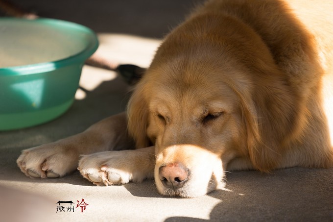 「徽州冷」宏村秋深晴少，友谊地久天