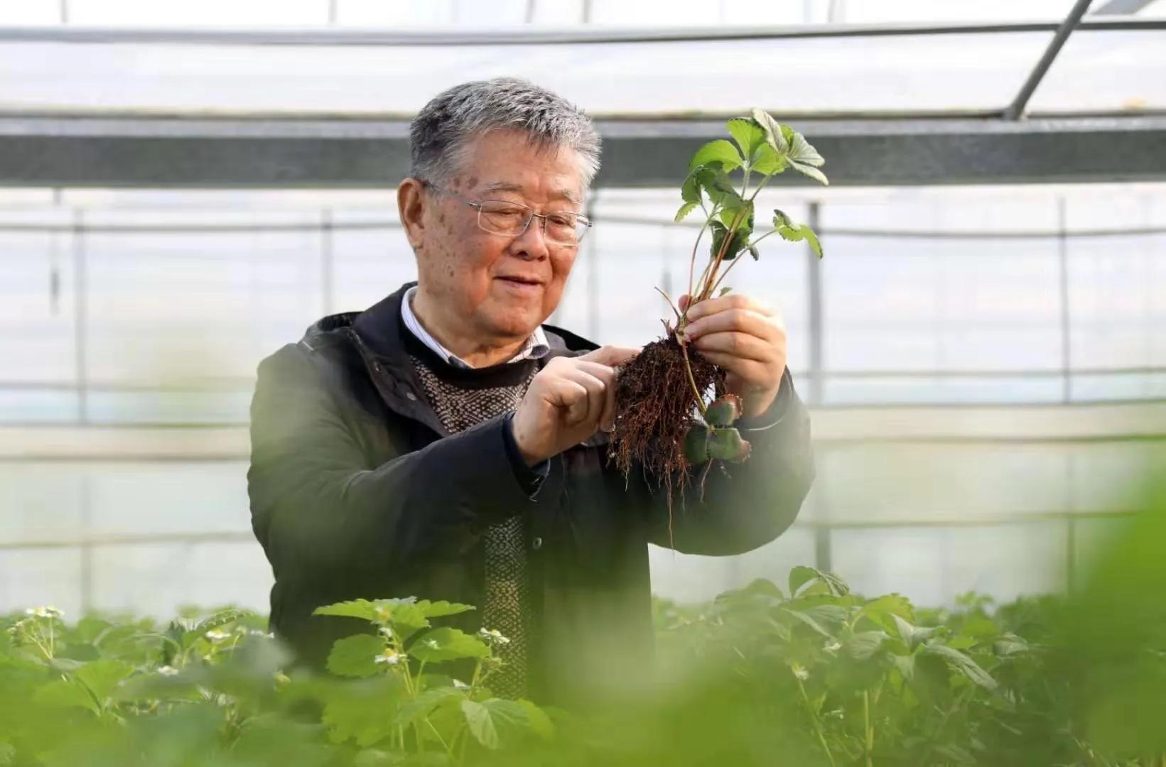 小故事赚几亿,小故事赚大钱