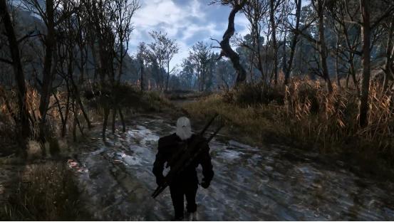 巫师3狂猎实机演示,巫师3次世代版超长演示