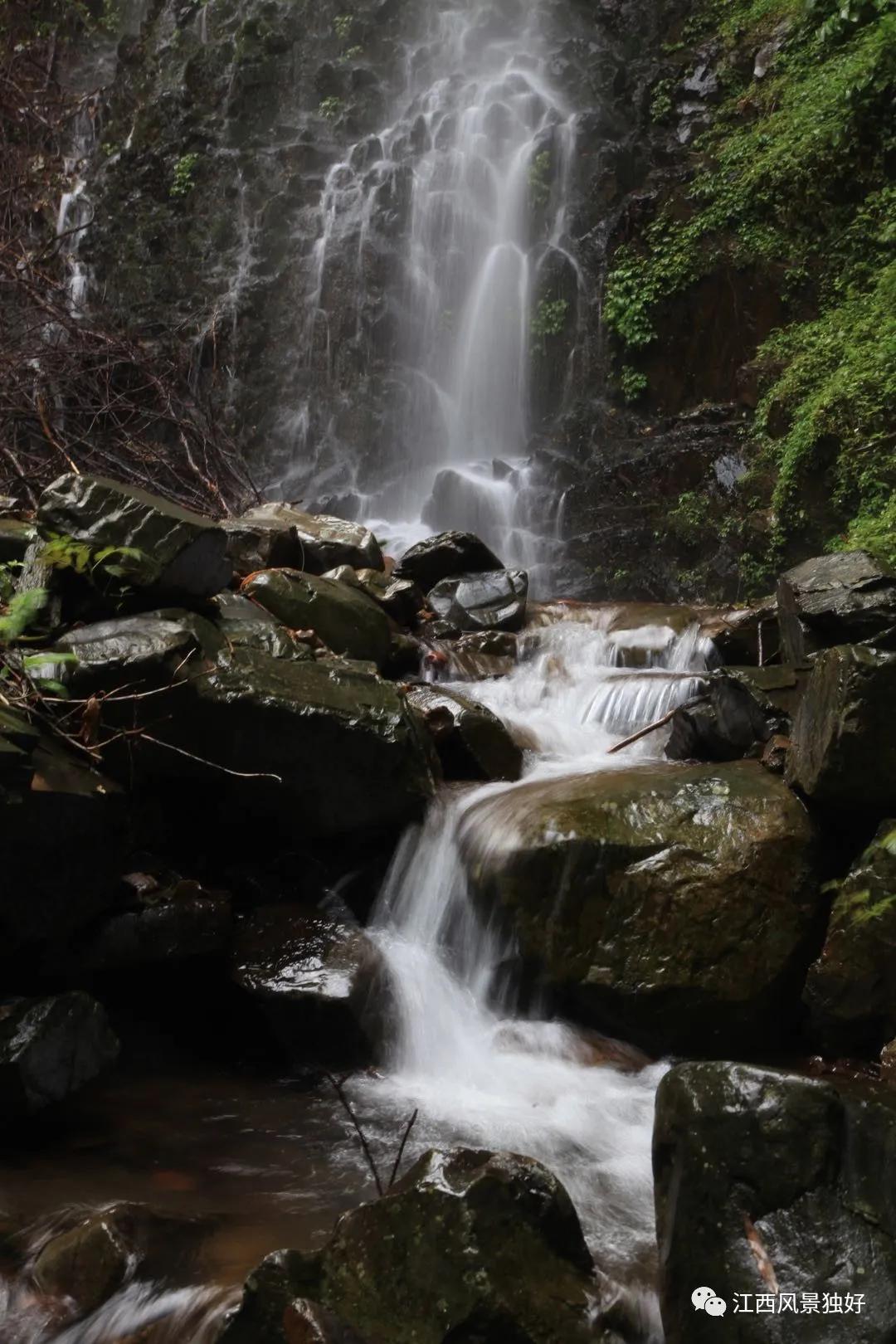 朱虹江西风景独好,朱虹绝代佳人