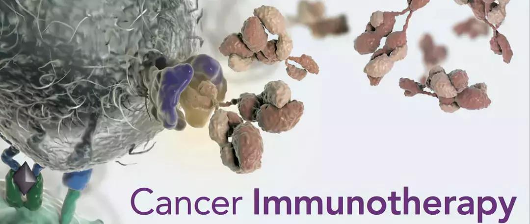 肠道菌群与癌症的最新研究,肠道菌群与癌症的关系