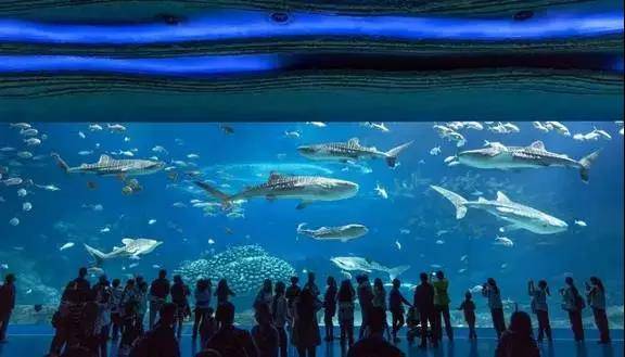 游玩珠海长隆海洋王国住企鹅酒店,珠海长隆旅游民宿推荐