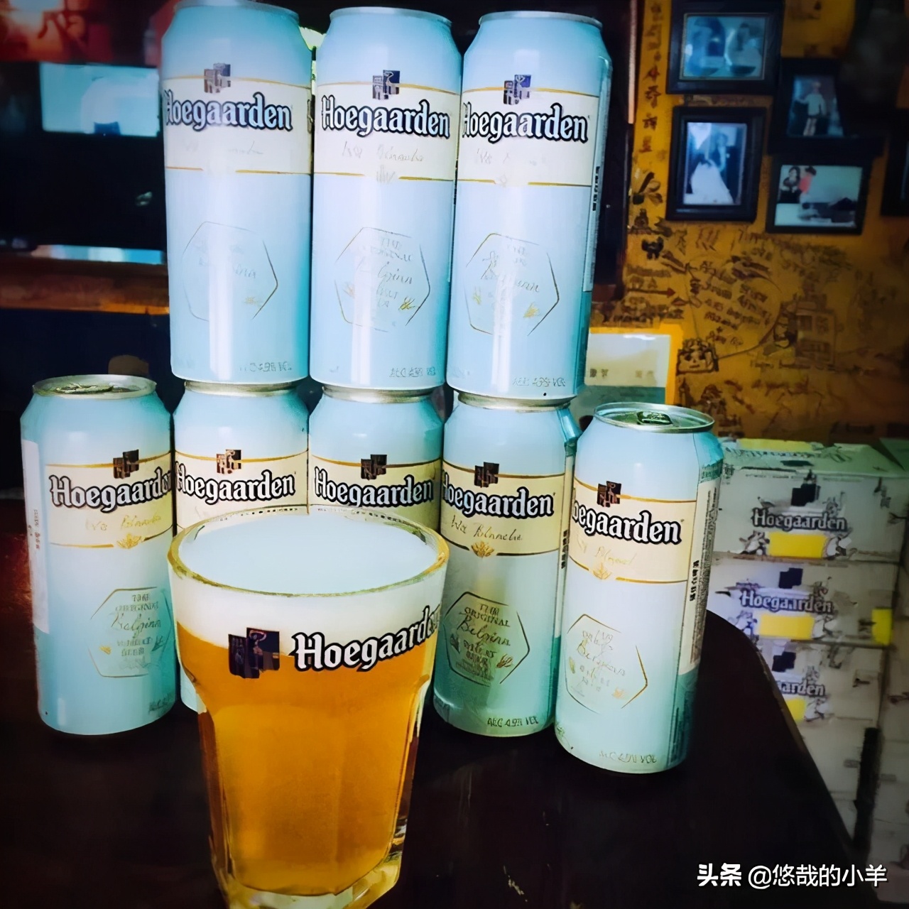 德式白啤和比利时白啤区别,比利时的福佳白啤多少钱