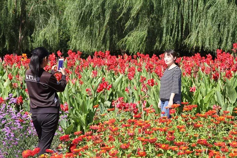 包头市新花海景点,包头最美的地方