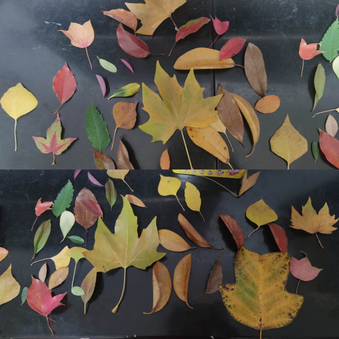 3岁孩子：太爷爷到哪儿去了？不欺骗孩子，家长试试这样聊生死