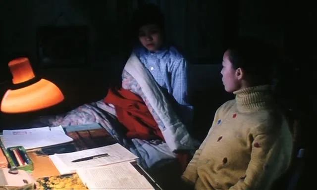 可惜没在中国上映的电影,李冰冰05年电影