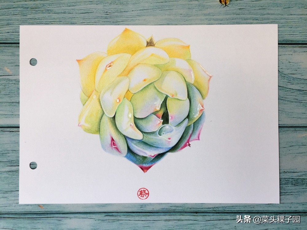 彩铅自学教程1,彩铅初学者适合买多少色的铅笔