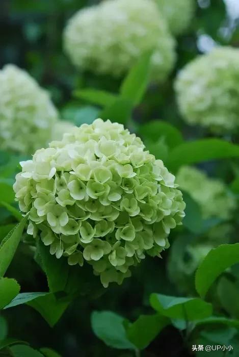 你怎样生活完全由你自己决定,生活状态怎么发朋友圈