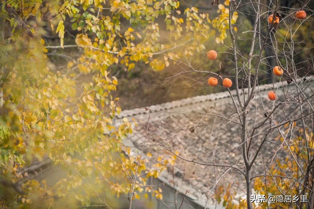 看皮影大戏逛美食大集,农村看大戏赶大集