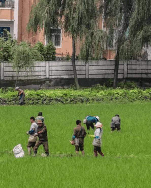 朝鲜乡下老木屋,朝鲜族农村民居图片
