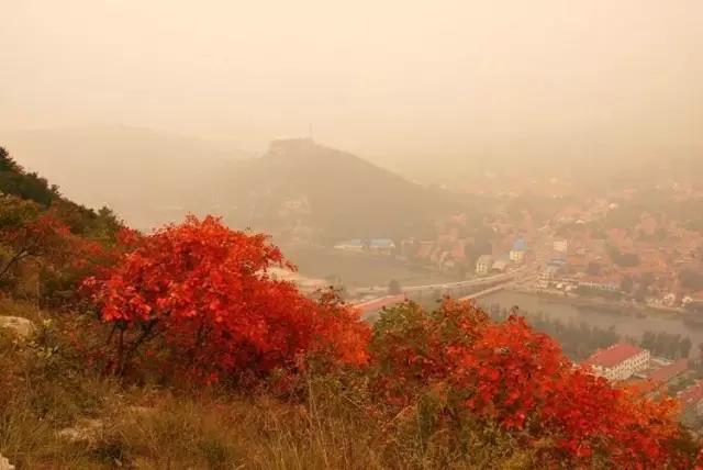 博山红叶谷门票优惠活动,博山十大免费红叶谷