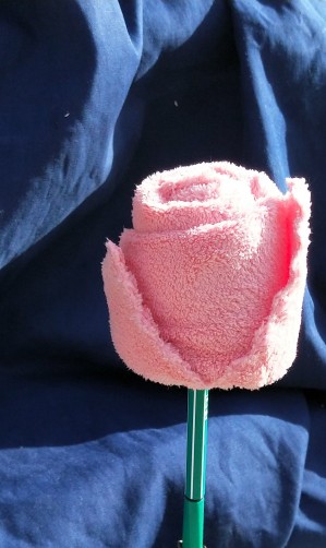 青年节手工制作永不凋谢的玫瑰花,自己亲手制作的永不凋谢的玫瑰花