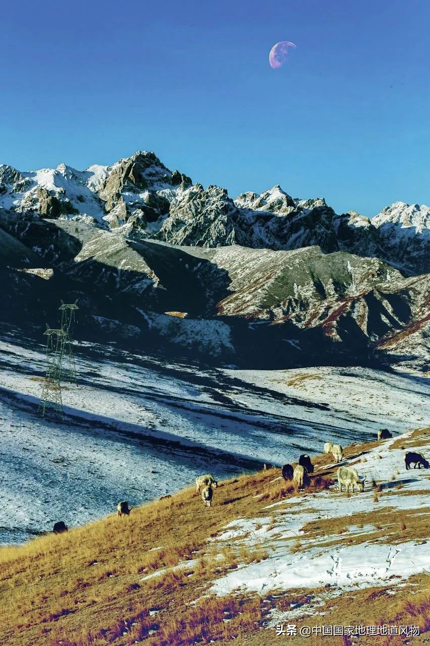 甘肃武威富裕吗,武威威武完整版