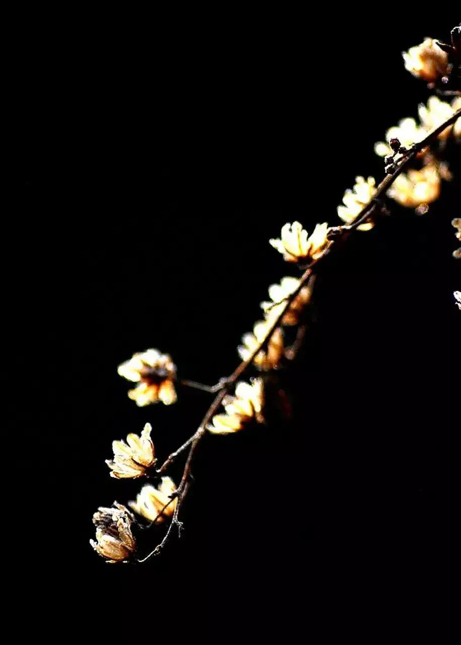 天地之中话中用一一为政在人